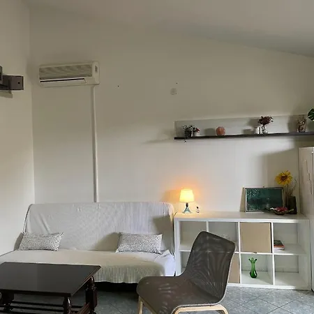 Summer Nika Apartment Bibinje